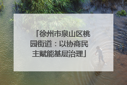 徐州市泉山区桃园街道：以协商民主赋能基层治理