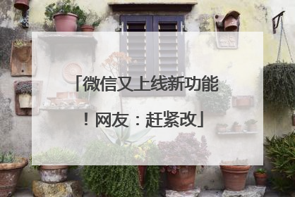 微信又上线新功能！网友：赶紧改