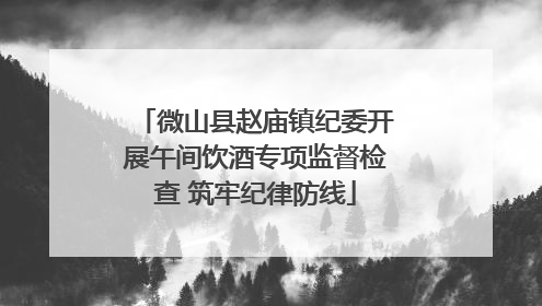 微山县赵庙镇纪委开展午间饮酒专项监督检查 筑牢纪律防线