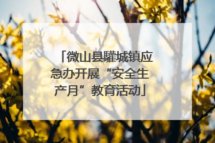 微山县驩城镇应急办开展“安全生产月”教育活动