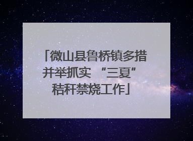 微山县鲁桥镇多措并举抓实 “三夏” 秸秆禁烧工作