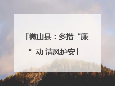 微山县：多措“廉”动 清风护安