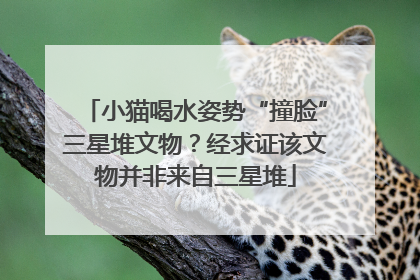 小猫喝水姿势“撞脸”三星堆文物？经求证该文物并非来自三星堆