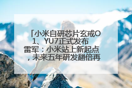 小米自研芯片玄戒O1、YU7正式发布 雷军：小米站上新起点，未来五年研发翻倍再投2000亿元