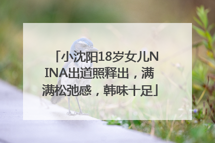 小沈阳18岁女儿NINA出道照释出，满满松弛感，韩味十足