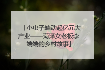 小虫子蠕动起亿元大产业——菏泽女老板李端端的乡村故事