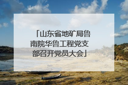山东省地矿局鲁南院华鲁工程党支部召开党员大会