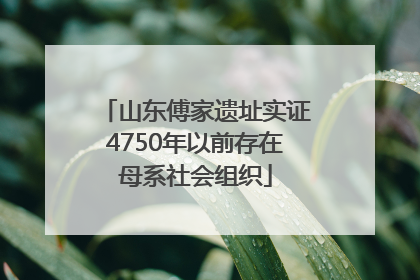 山东傅家遗址实证4750年以前存在母系社会组织