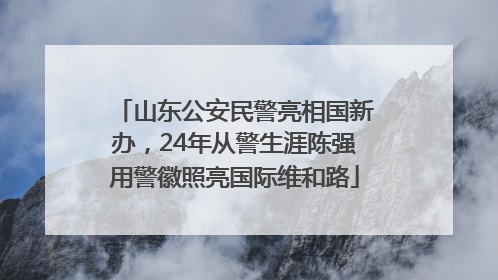 山东公安民警亮相国新办，24年从警生涯陈强用警徽照亮国际维和路