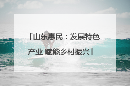 山东惠民：发展特色产业 赋能乡村振兴
