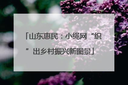 山东惠民：小绳网“织”出乡村振兴新图景