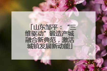 山东邹平：“三维驱动”锻造产城融合新典范，激活城镇发展新动能
