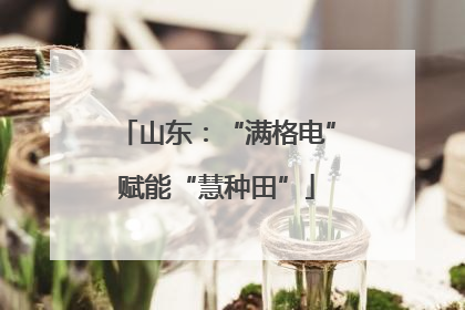 山东：“满格电”赋能“慧种田”