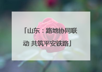 山东：路地协同联动 共筑平安铁路