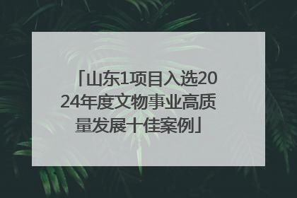 山东1项目入选2024年度文物事业高质量发展十佳案例
