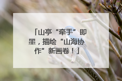 山亭“牵手”即墨，描绘“山海协作”新画卷！