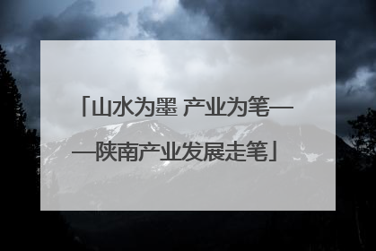 山水为墨 产业为笔——陕南产业发展走笔