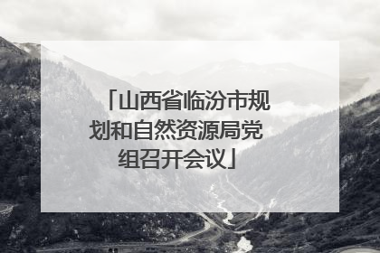山西省临汾市规划和自然资源局党组召开会议