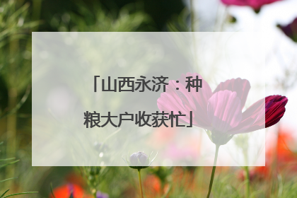 山西永济：种粮大户收获忙