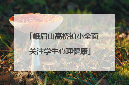 峨眉山高桥镇小全面关注学生心理健康