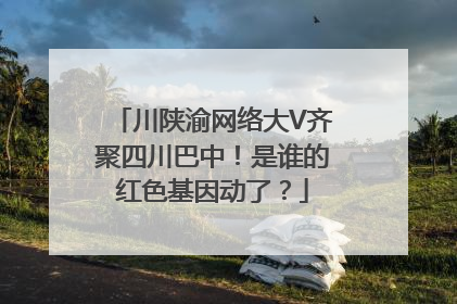 川陕渝网络大V齐聚四川巴中！是谁的红色基因动了？