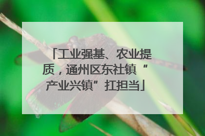 工业强基、农业提质，通州区东社镇“产业兴镇”扛担当