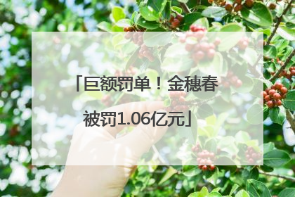 巨额罚单！金穗春被罚1.06亿元