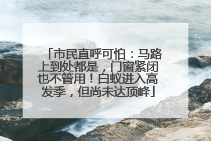 市民直呼可怕：马路上到处都是，门窗紧闭也不管用！白蚁进入高发季，但尚未达顶峰