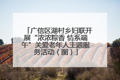 广信区湖村乡妇联开展“浓浓粽香 情系端午”关爱老年人主题服务活动（图）