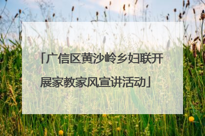 广信区黄沙岭乡妇联开展家教家风宣讲活动