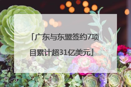 广东与东盟签约7项目累计超31亿美元