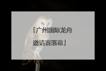广州国际龙舟邀请赛落幕