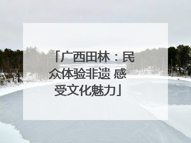 广西田林：民众体验非遗 感受文化魅力