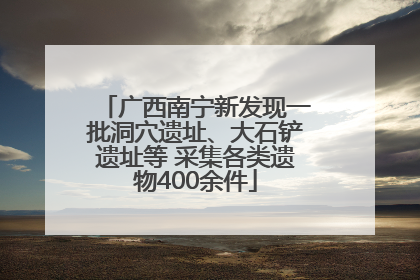 广西南宁新发现一批洞穴遗址、大石铲遗址等 采集各类遗物400余件