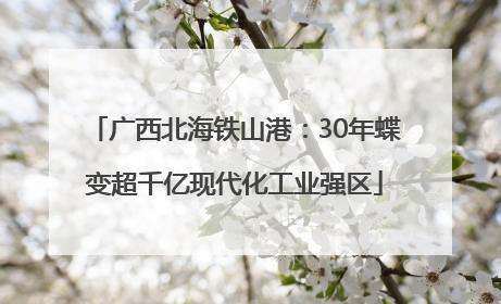 广西北海铁山港：30年蝶变超千亿现代化工业强区