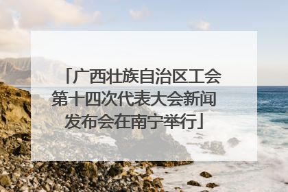 广西壮族自治区工会第十四次代表大会新闻发布会在南宁举行
