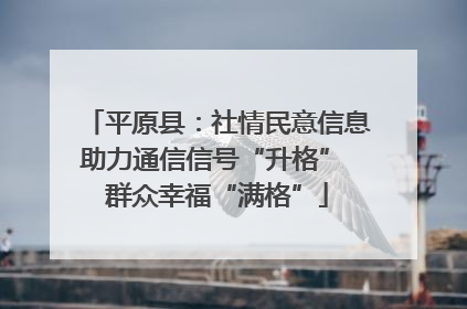 平原县：社情民意信息助力通信信号“升格” 群众幸福“满格”