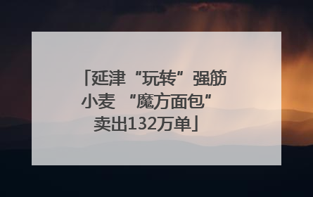延津“玩转”强筋小麦 “魔方面包”卖出132万单