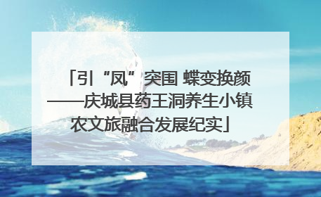 引“凤”突围 蝶变换颜——庆城县药王洞养生小镇农文旅融合发展纪实