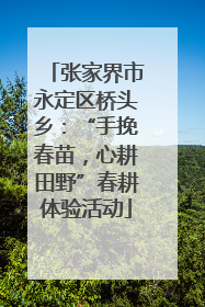 张家界市永定区桥头乡：“手挽春苗，心耕田野”春耕体验活动