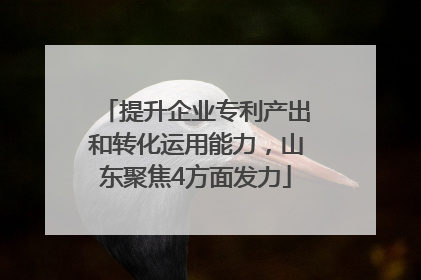 提升企业专利产出和转化运用能力，山东聚焦4方面发力