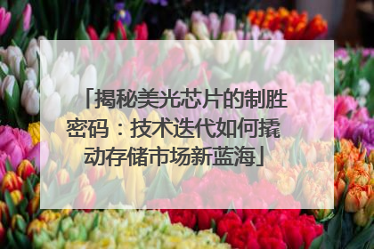 揭秘美光芯片的制胜密码：技术迭代如何撬动存储市场新蓝海