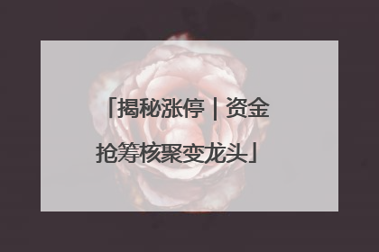 揭秘涨停｜资金抢筹核聚变龙头
