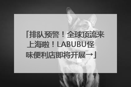 排队预警！全球顶流来上海啦！LABUBU怪味便利店即将开展→