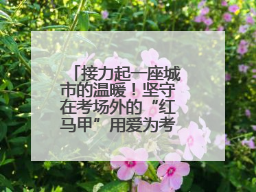 接力起一座城市的温暖！坚守在考场外的“红马甲”用爱为考生保驾护航