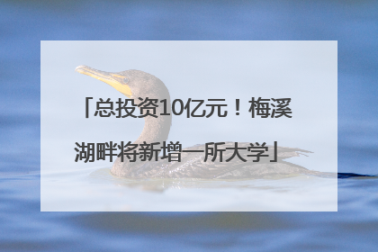 总投资10亿元！梅溪湖畔将新增一所大学