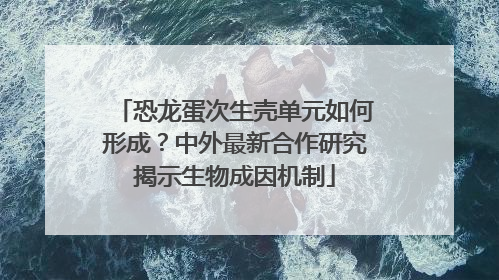 恐龙蛋次生壳单元如何形成？中外最新合作研究揭示生物成因机制