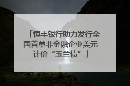 恒丰银行助力发行全国首单非金融企业美元计价“玉兰债”