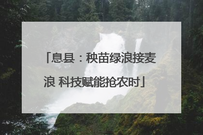 息县：秧苗绿浪接麦浪 科技赋能抢农时