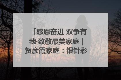 感恩奋进 双争有我·致敬最美家庭｜贺彦霞家庭：银针彩线绣出好日子